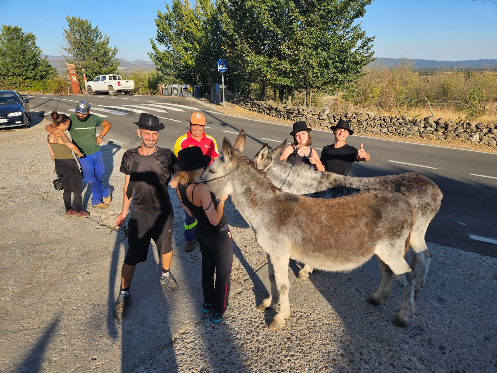 Donkey Caravan